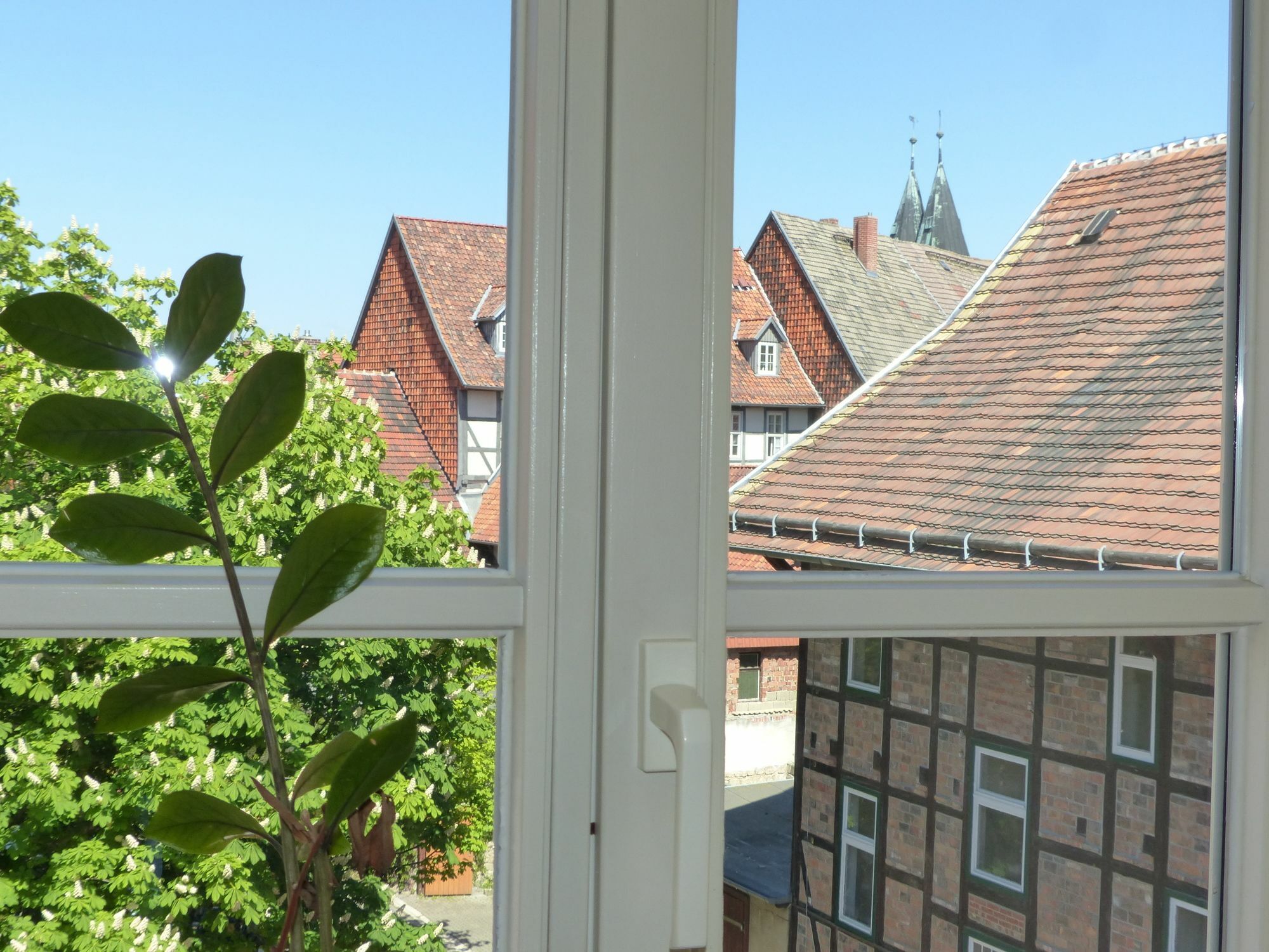 Hotel Zum Brauhaus Quedlinburg Eksteriør bilde