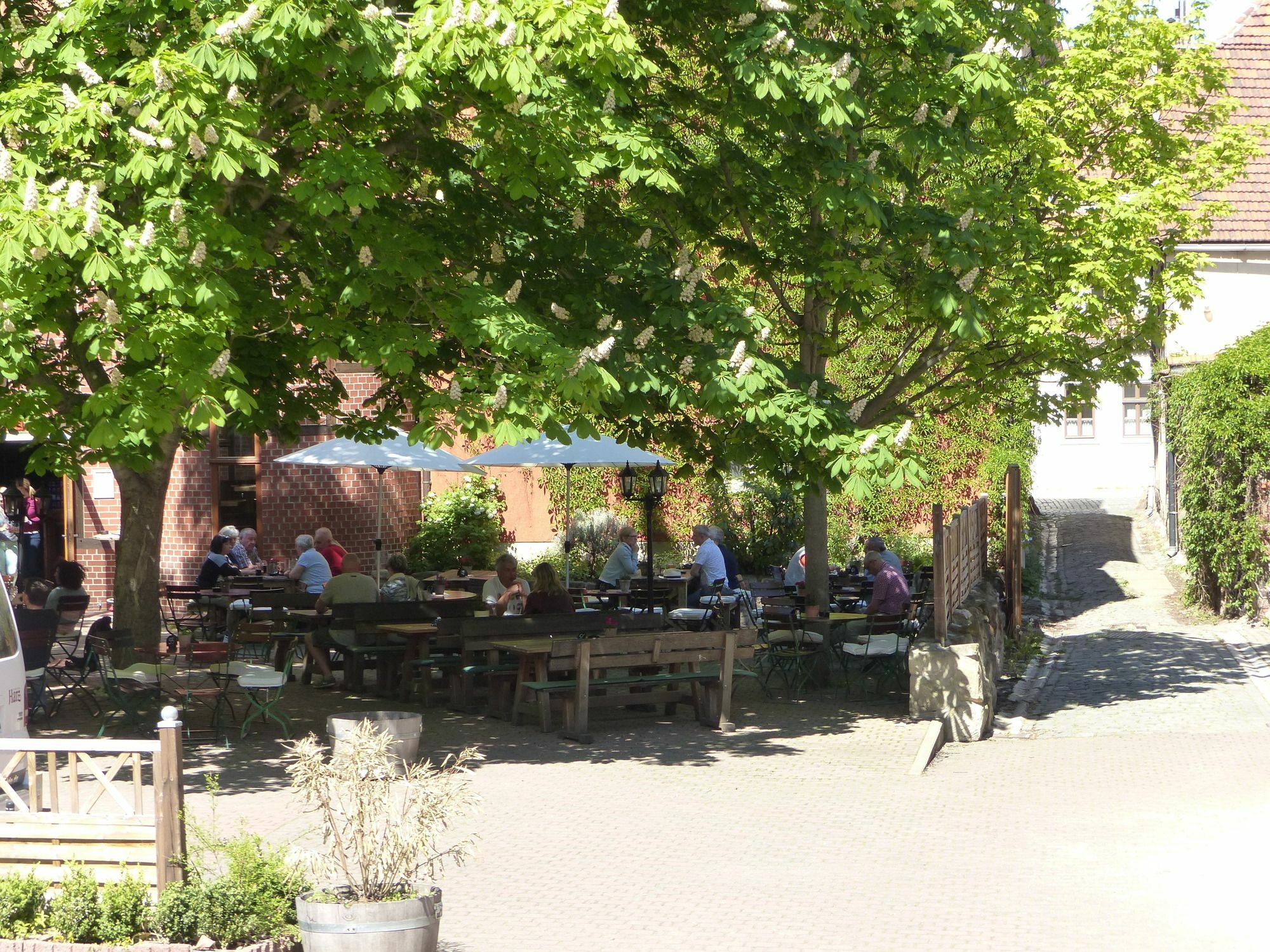 Hotel Zum Brauhaus Quedlinburg Eksteriør bilde